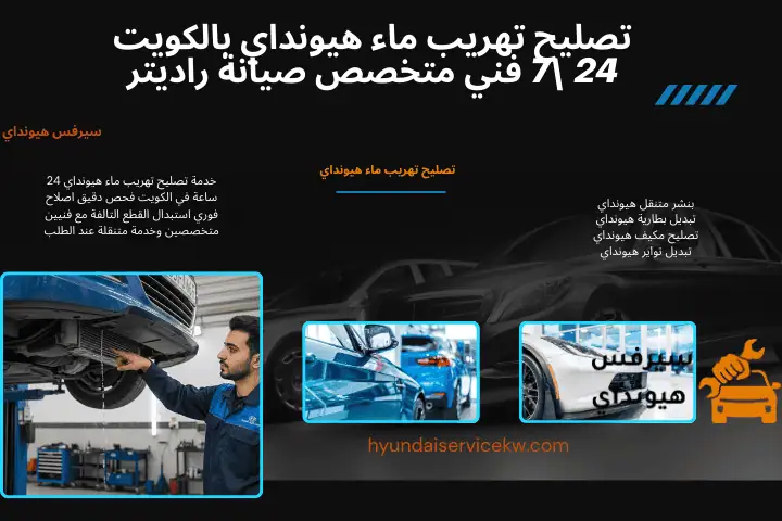 خدمة تصليح تهريب ماء هيونداي