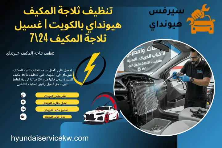 خبير تنظيف ثلاجة المكيف هيونداي